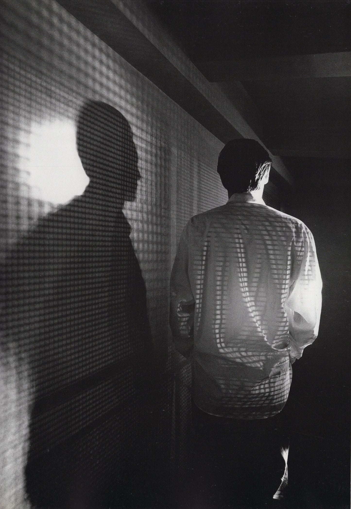 catalog ∙ spring / summer 1982