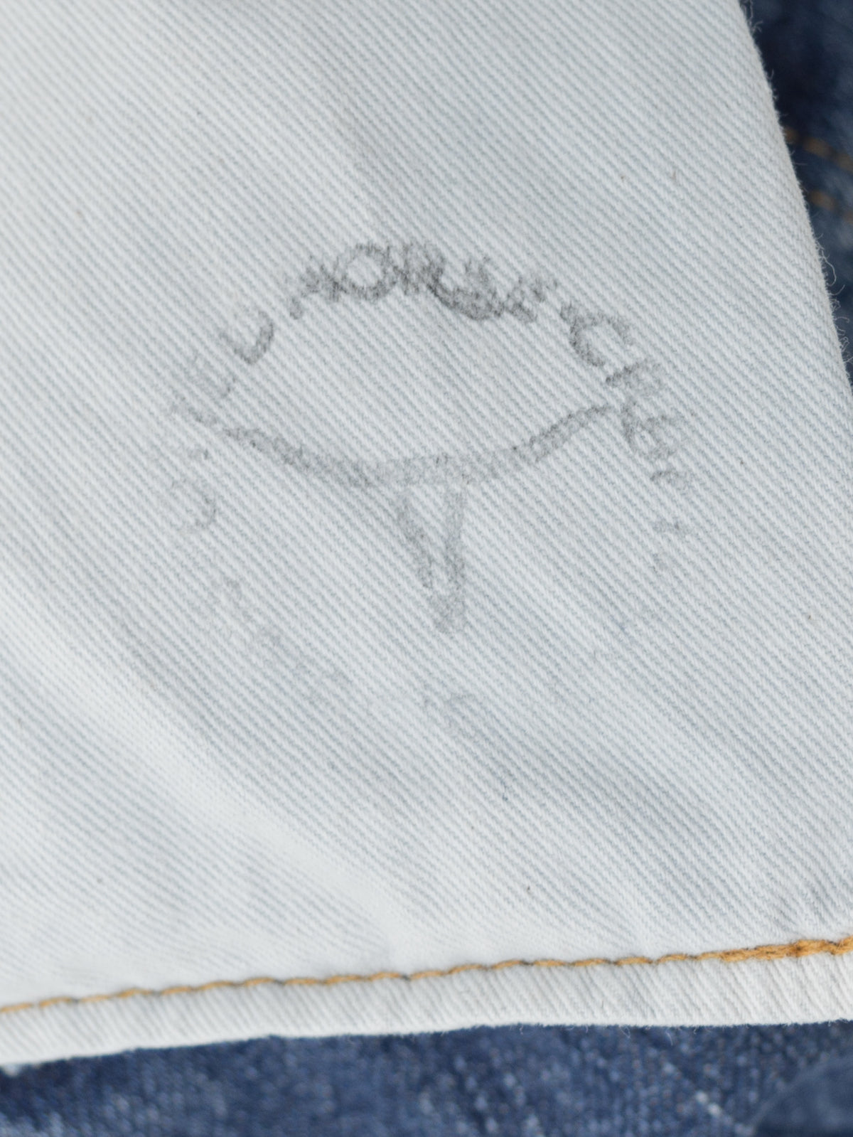 Spotted Horse Work Jeans Magic Wash